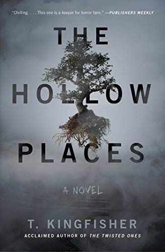 The Hollow Places (Paperback, 2020, Gallery / Saga Press)