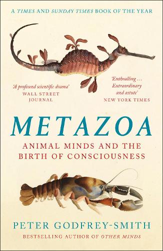 Peter Godfrey-Smith: Metazoa (Paperback, 2021, William Collins)