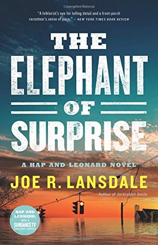 Joe R. Lansdale: The Elephant of Surprise (Hardcover, 2019, Mulholland Books)