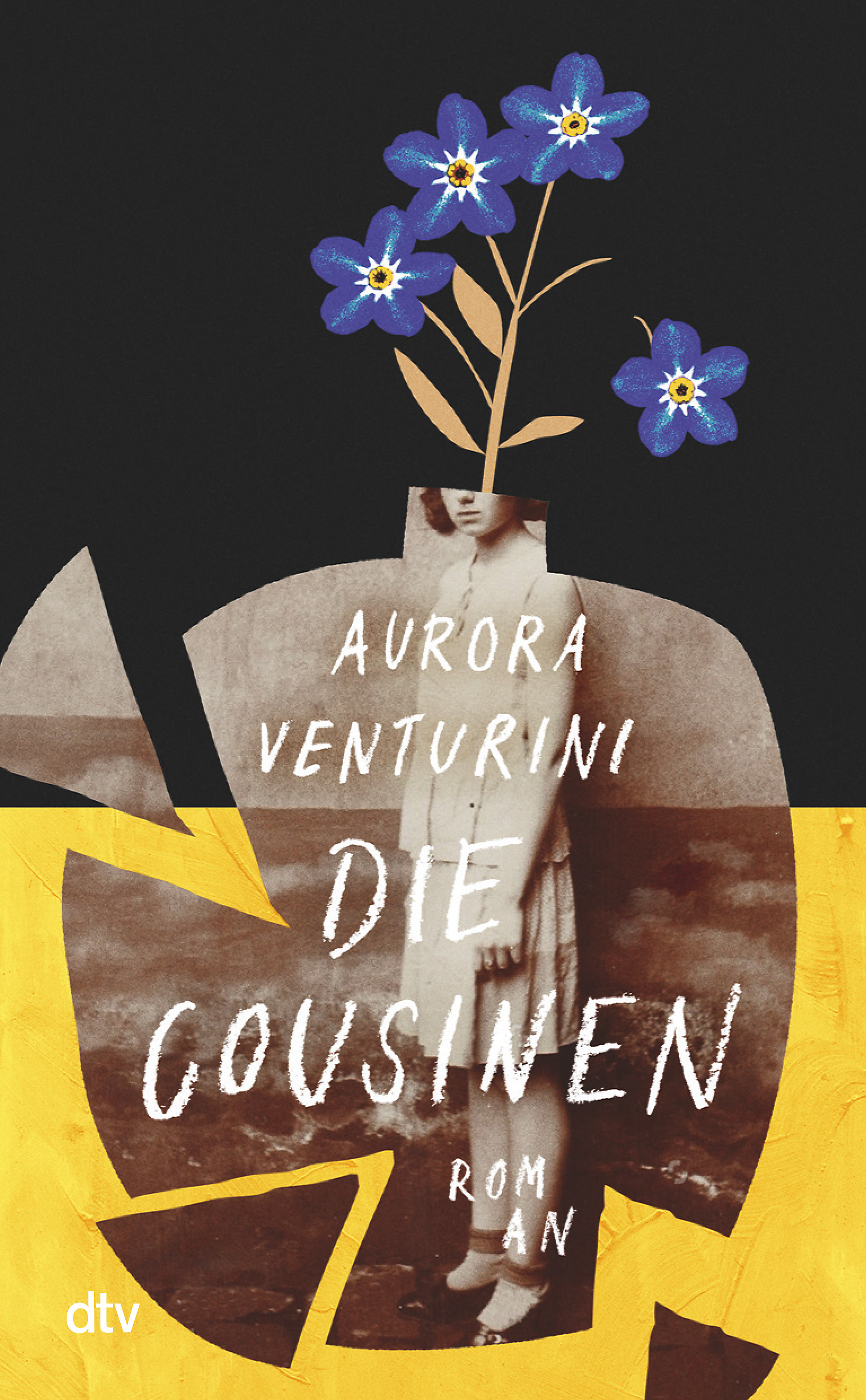 Aurora Venturini: Die Cousinen (Hardcover, German language, 2022, dtv)