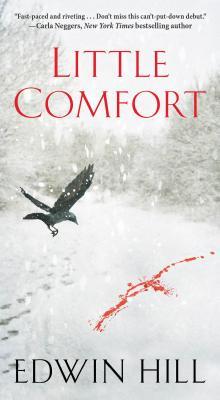 Edwin Hill: Little Comfort (2019, Penguin Random House)