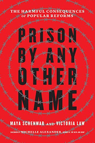 Maya Schenwar, Michelle Alexander, Victoria Law: Prison by Any Other Name (Paperback, 2021, The New Press)