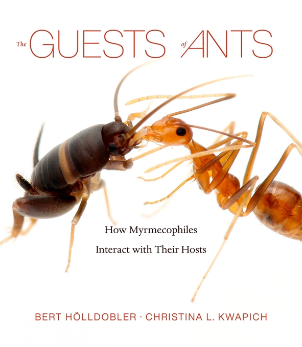 Bert Hölldobler, Christina L. Kwapich: The Guests of Ants (Hardcover, Harvard University Press)
