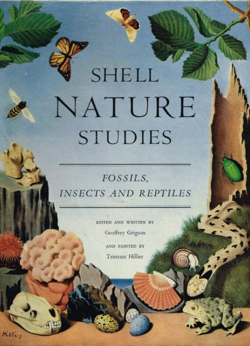 Geoffrey Grigson: Shell nature studies (1957, Phoenix House)