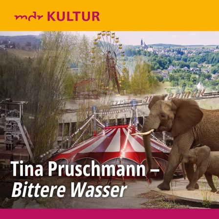 Tina Pruschmann: Bittere Wasser (AudiobookFormat, German language, 2023)